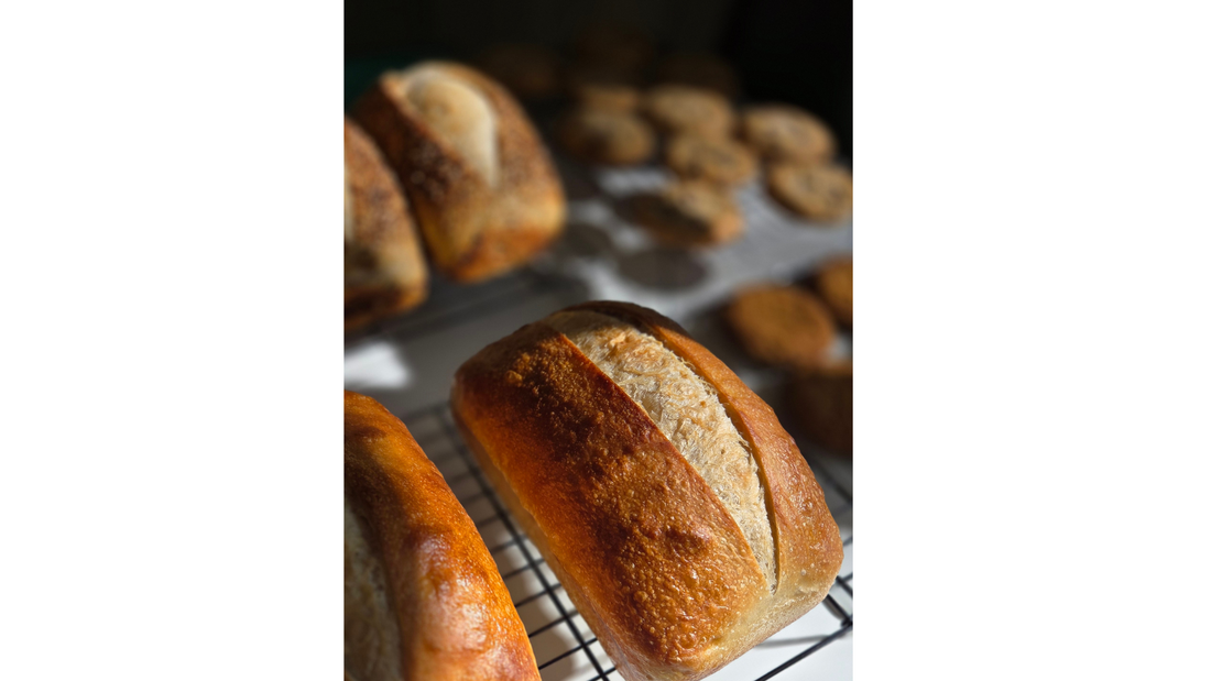 Sourdough Hydration Levels Explained: Crumb, Rise & Flavor