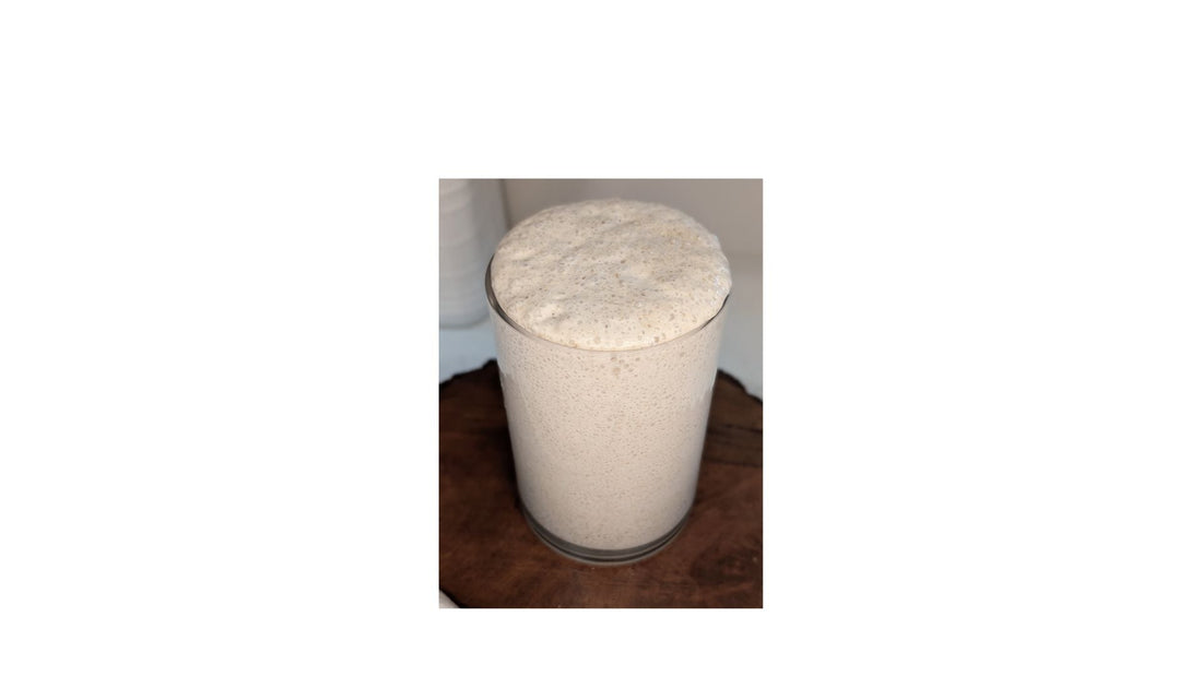 Bringing Dehydrated Sourdough Starter Back to Life