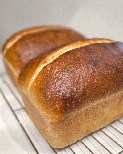 Loaf of bread on a cooling rack with a plain background