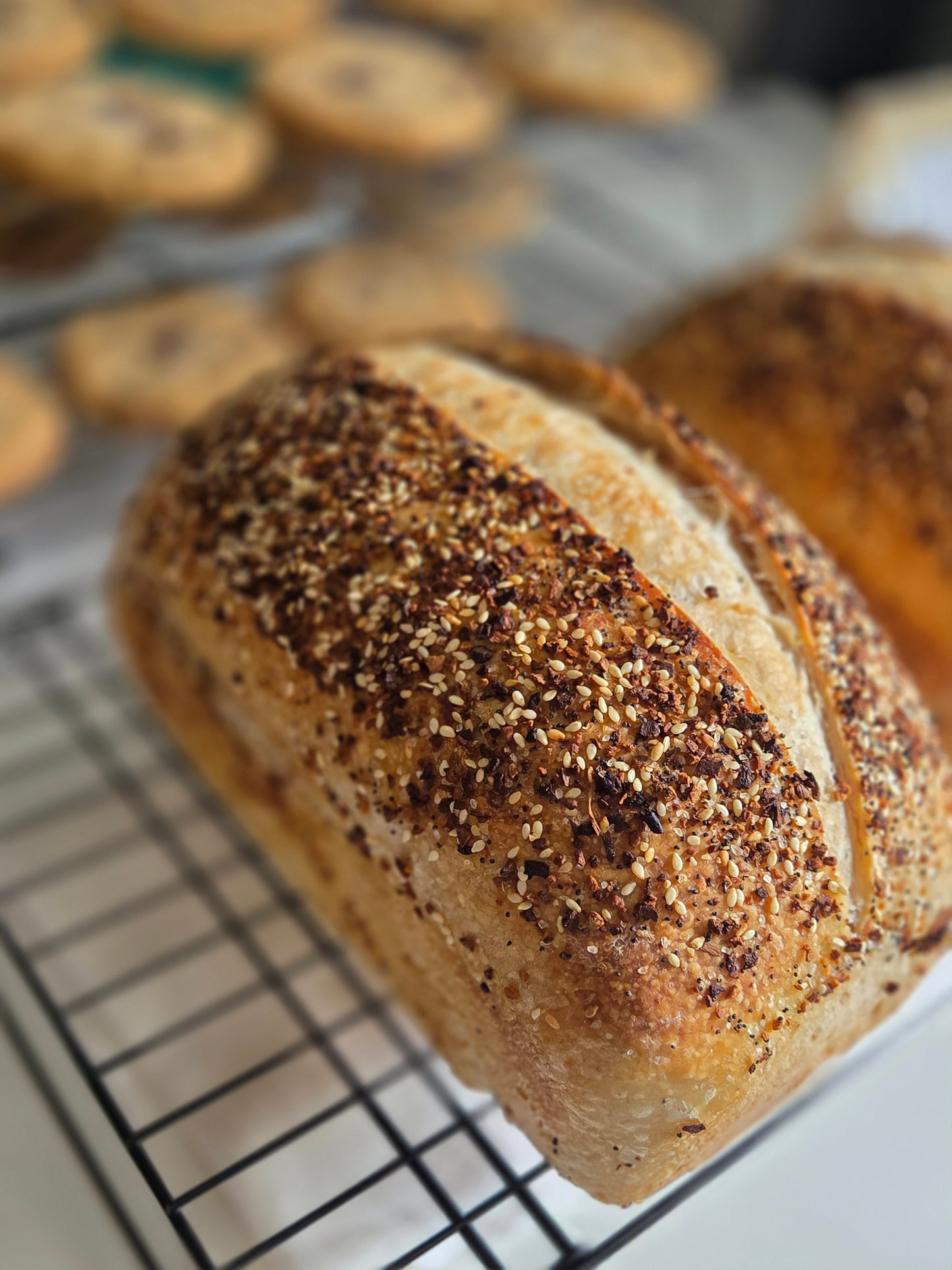 Fresh Sourdough Starter - Beginners Bundle (Local Pickup Only)