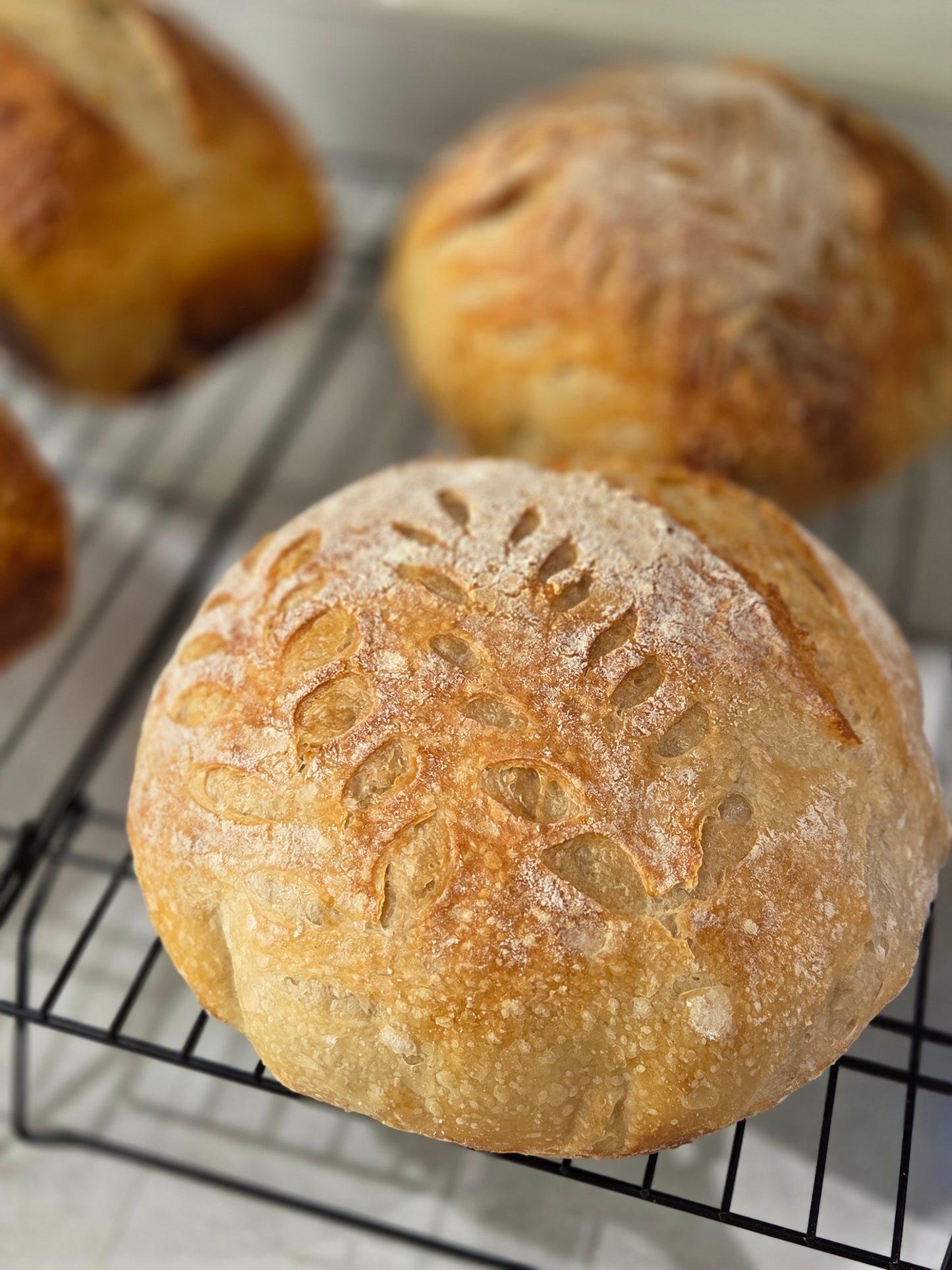 Classic Sourdough Boule