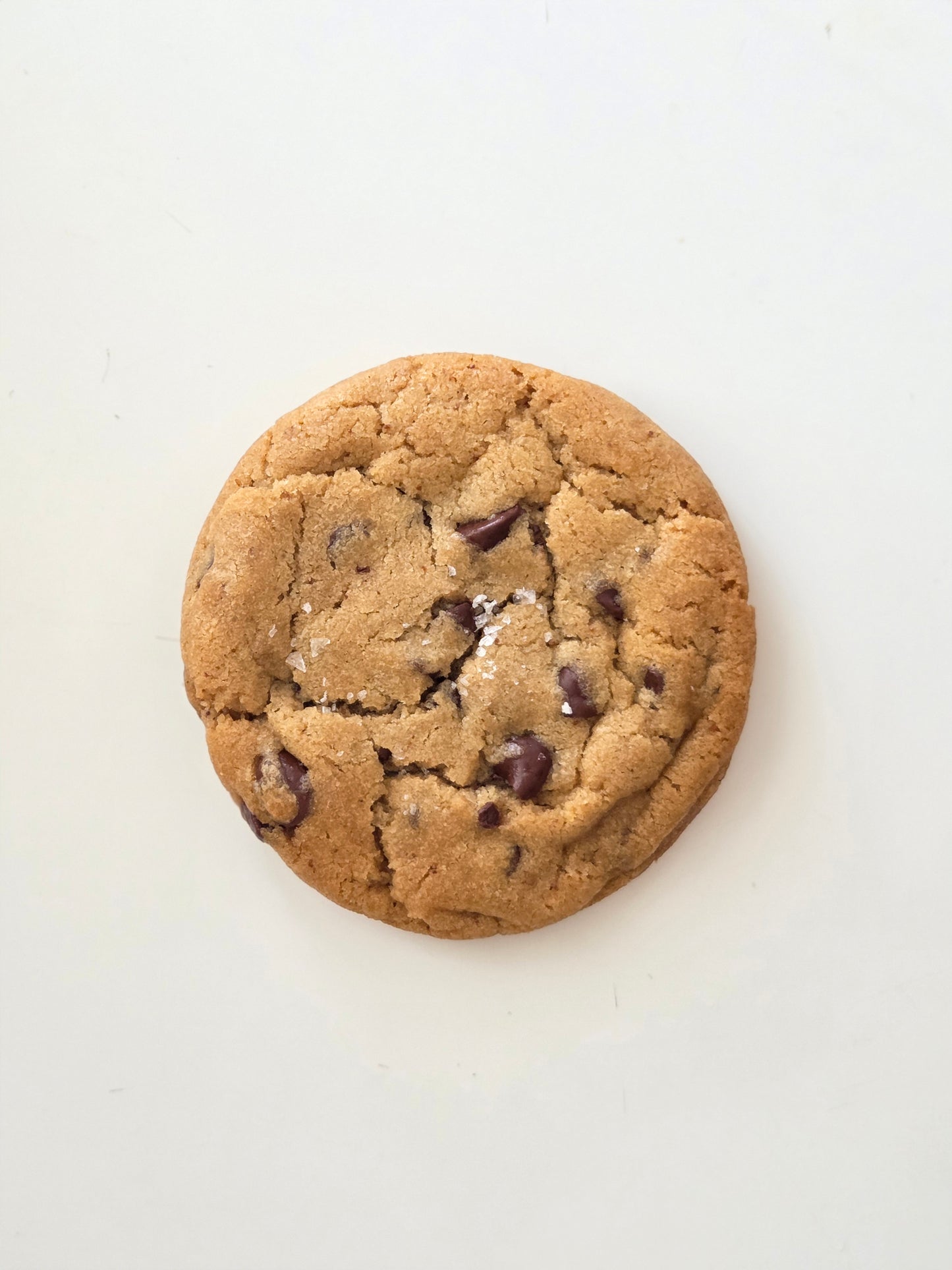 Brown Butter Chocolate Chip Cookie