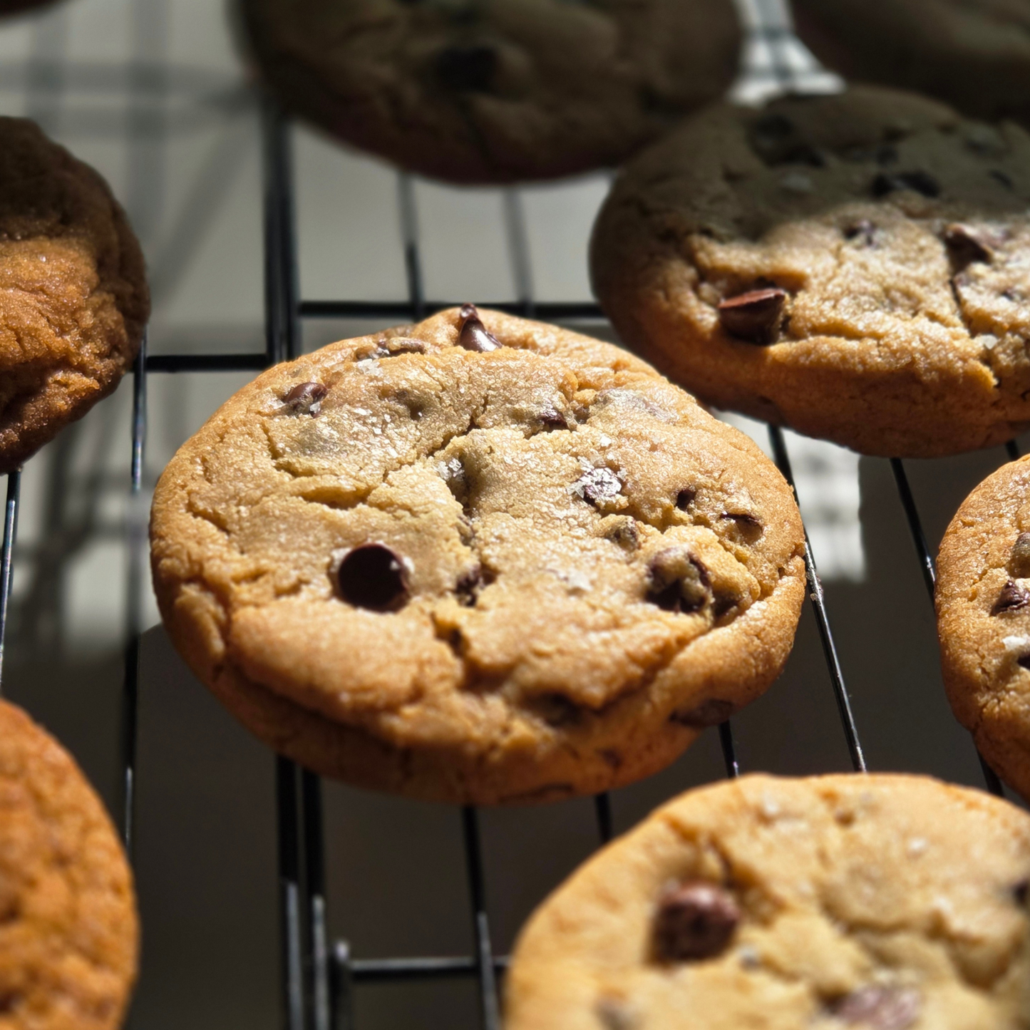 Brown Butter Chocolate Chip Cookie